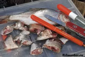 Ловля на кусочки рыбы