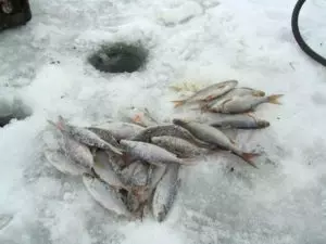 Зимняя рыбалка 35 в вологде