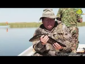 Советы бывалых рыбаков видео охота и рыбалка