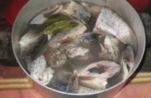 Как приготовить рыбу белый амур на сковороде