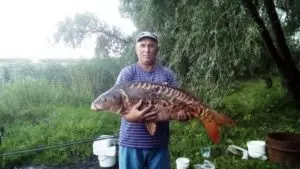 Платная рыбалка в павловском районе воронежской области